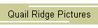Quail Ridge Pictures